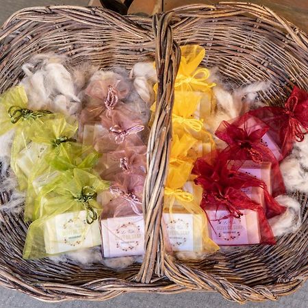 Tenuta Le Viste Bed & Breakfast Scandicci Ngoại thất bức ảnh