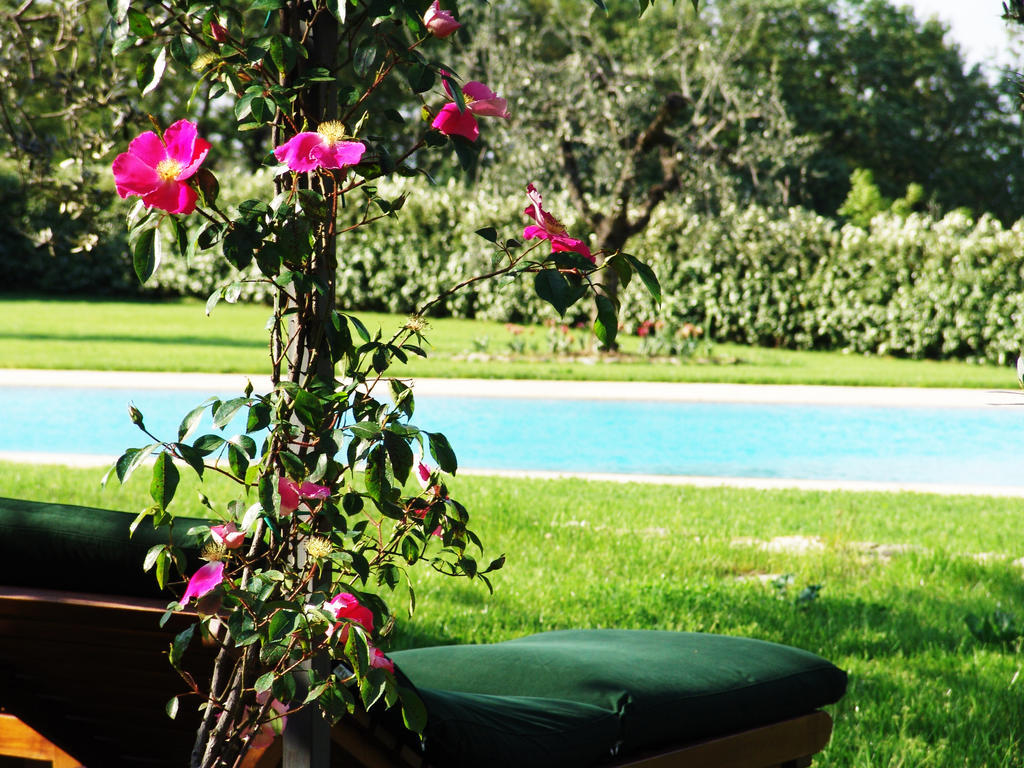 Tenuta Le Viste Bed & Breakfast Scandicci Ngoại thất bức ảnh